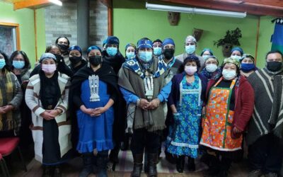 Autoridades ancestrales de Lago Ranco exigen derecho al libre ejercicio de la medicina mapuche