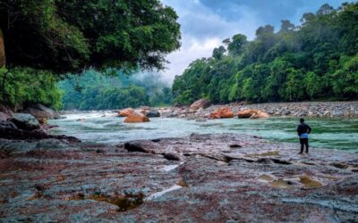 Corte Constitucional respalda derechos de la naturaleza en Ecuador